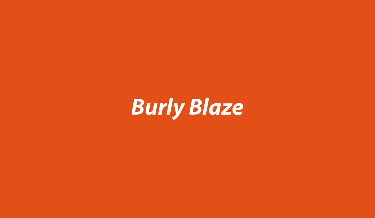 Burly-Blaze-Swatch