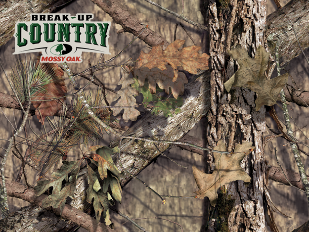 Mossy Oak Country Swatch